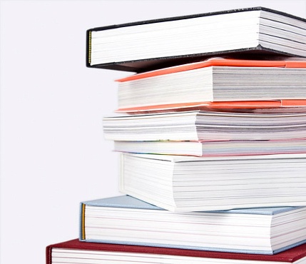 Предметные школы